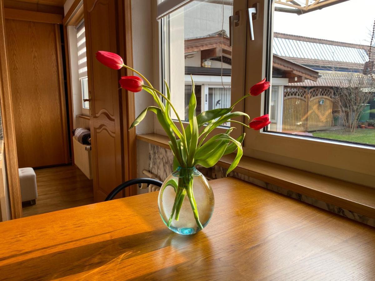 Appartement 3 Lys Saint-Louis  Esterno foto